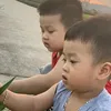 binbon16032309