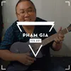 phamgia1638