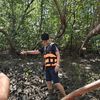 arpao_269
