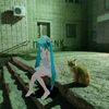 sngmnflx_