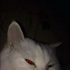 arl.fps