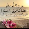 a.y.a8669