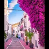 nadmohamed12345