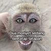 tahutempeee13