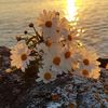 asel_duru06