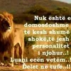 luanluani01