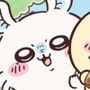 inasippy.cupp