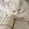 sealthe_4_quran293
