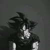 ga_ro01