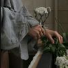 shad77_1