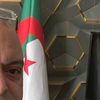 طائر الهدهد
