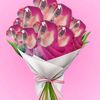 jk_kkkr