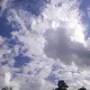 nanaokakai