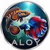 aloy717