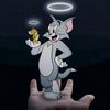 abdulrehman_72115