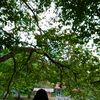 m.haikal.r