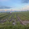 quang73192