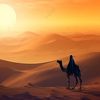 mohammad_q45