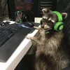 h5e1n