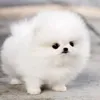 myngoc7625