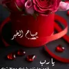 aminelargo762