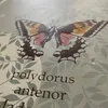 emregunes46