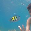 ciemmm16