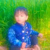 nazeera453