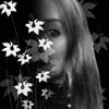 maggs223
