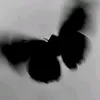 leo_biubiu