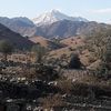 lailalaila7925ptapathan