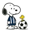 snoopygronne