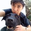 vic_vixm