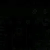 li_5sa