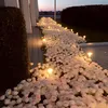 leena_m4