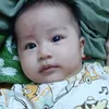 teomanh