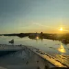 epsonrobson