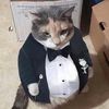 monopolycat.puss