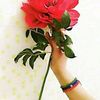 user59568219638465