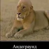 uservm98odrkfj