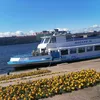 06_amina_06_