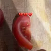 ronnyvv4