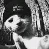 ungatito.br