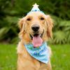 goldenlifeofremi