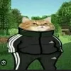 elgatododrip_jojofag