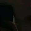 grlbsfv