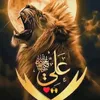 ali94hasannn94