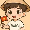 thaibao020810