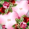 mrstanveer13