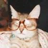 trankkmeow_